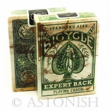 Bicycle Expert Back Green